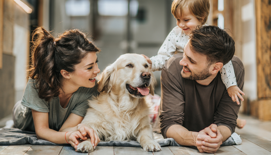 Big dogs, pressure points, and what to do about them?