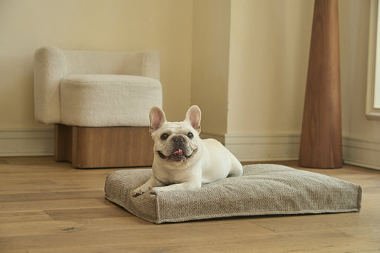 AirNest dog bed with textured light gray cover, plush raised sides