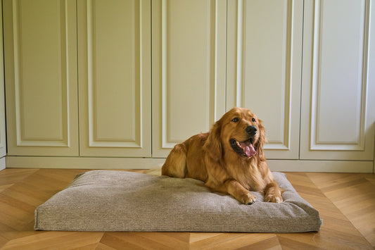 AirNest dog bed in textured light gray fabric, flat cushion design