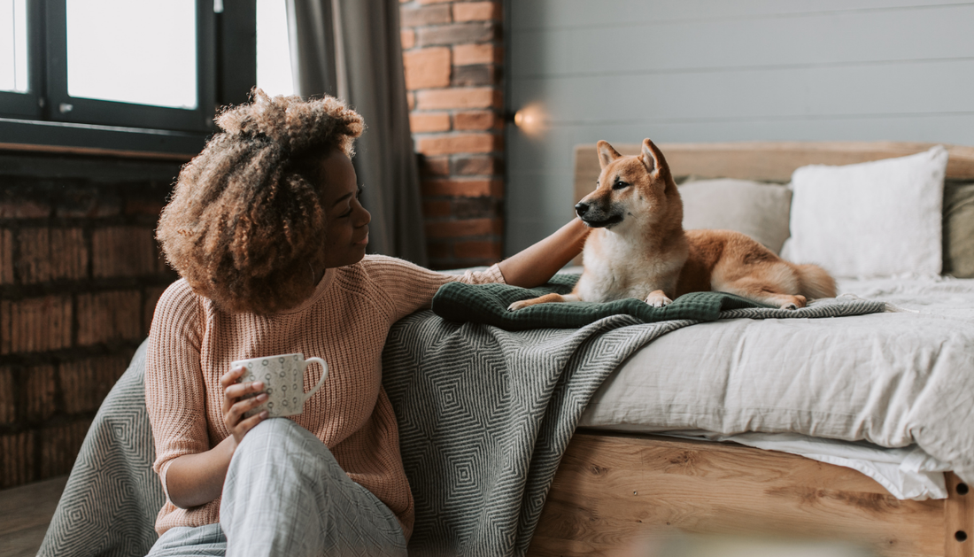How a rinse-clean dog bed actually works?