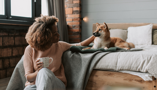 How a rinse-clean dog bed actually works?