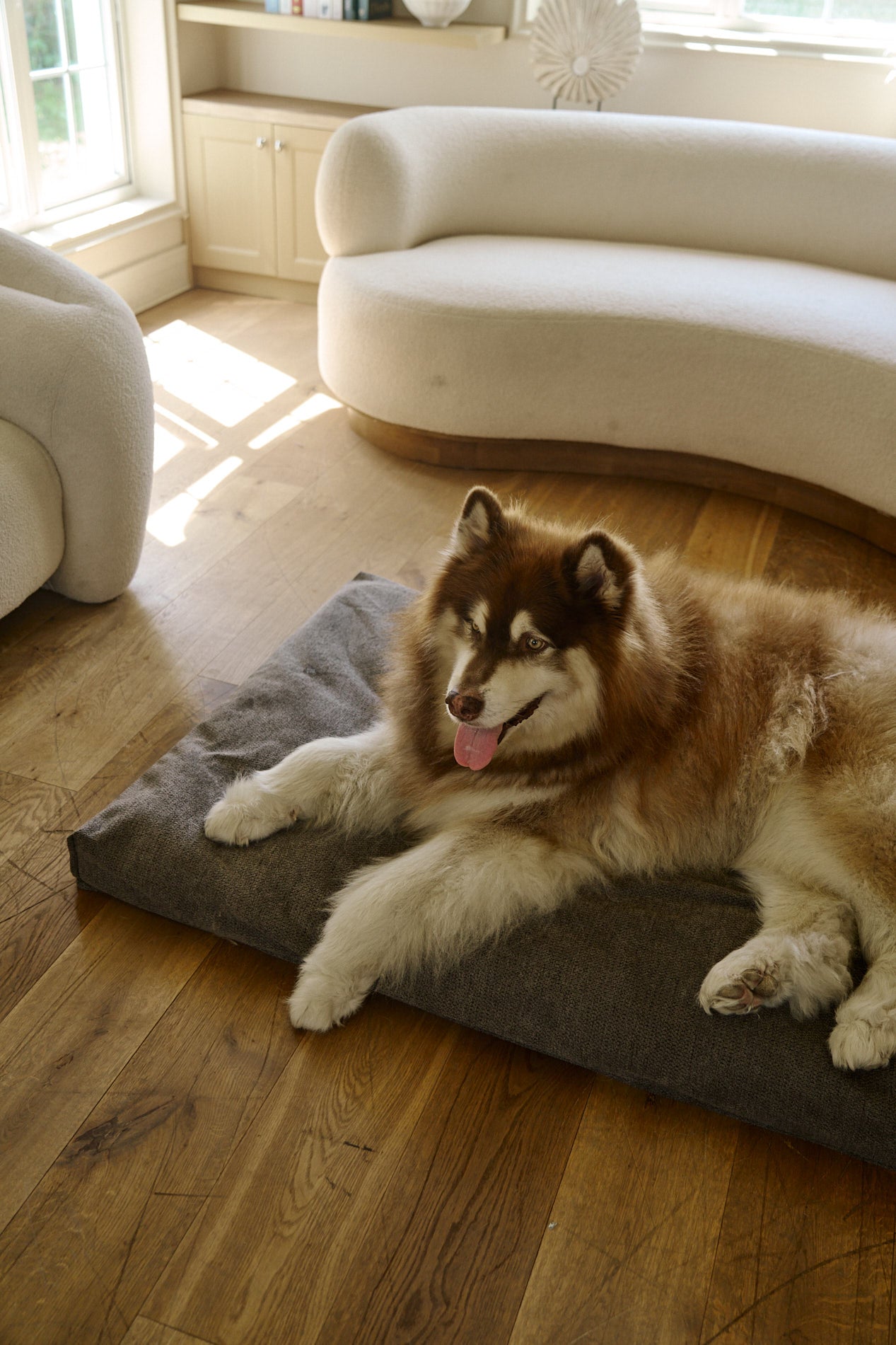 AirNest dog bed in textured gray fabric, low rectangular bolster shape