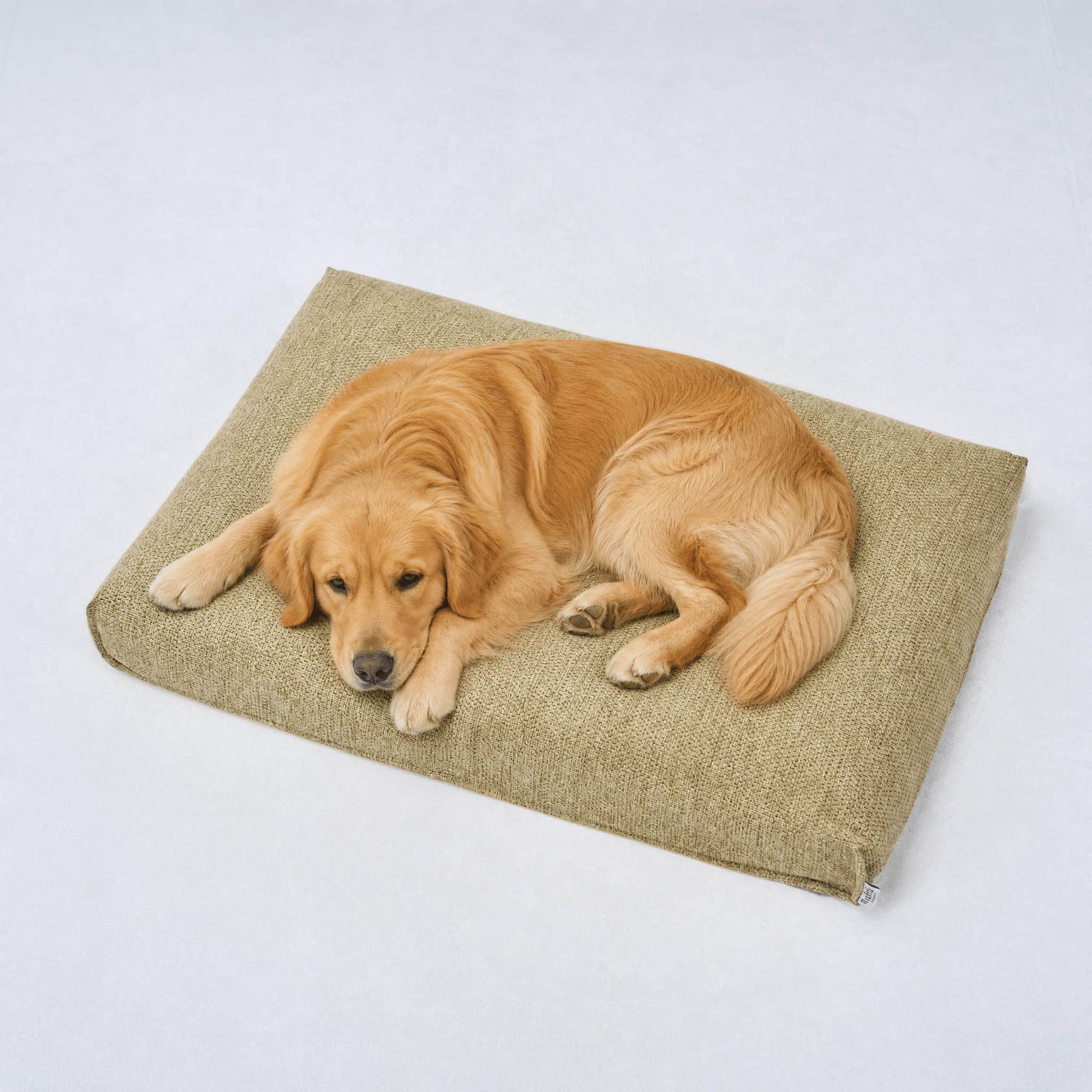Lemongrass fabric dog bed with a resting golden retriever